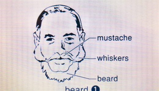 Facial Hairの英語まとめ ヒゲ を整理しよう Mustache Beard Whiskers Sideburns Goatee Designer Stubble Five O Clock Shadow らいトレ
